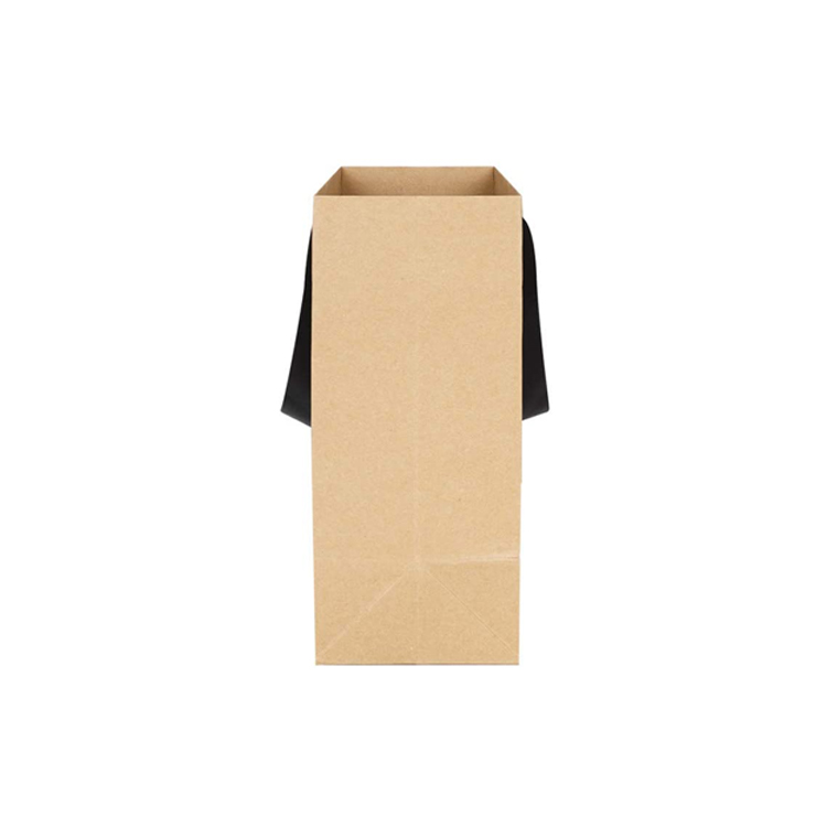 Umweltfreundliche Werbe bedruckte braune Kraftpapier Shopping Geschenk Einkaufstaschen mit Seidengriff Bulk auf Lager  