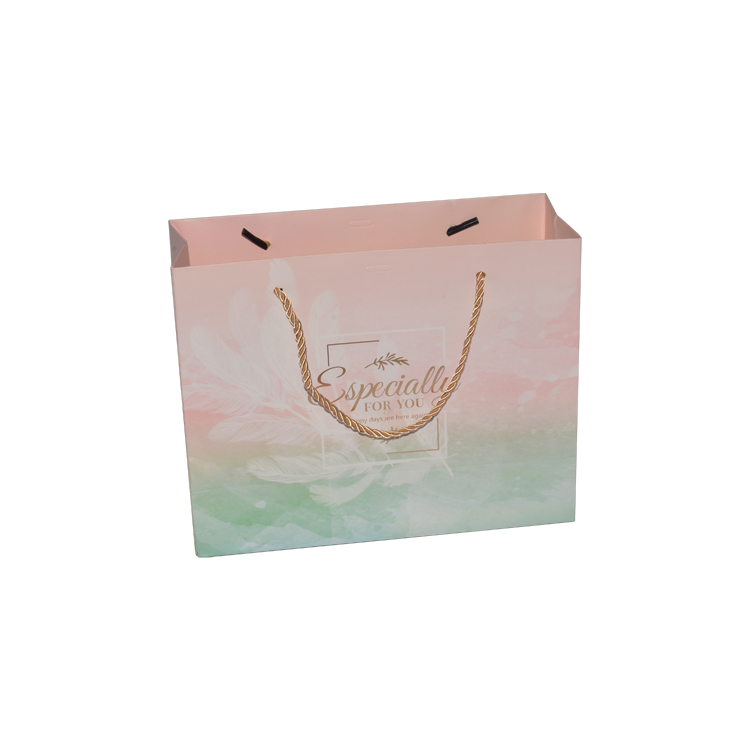 Custom Printed Paper Bags, Cardboard Gift Bags, Paper Shopping Bags with Twisted Handles at Wholesale Prices