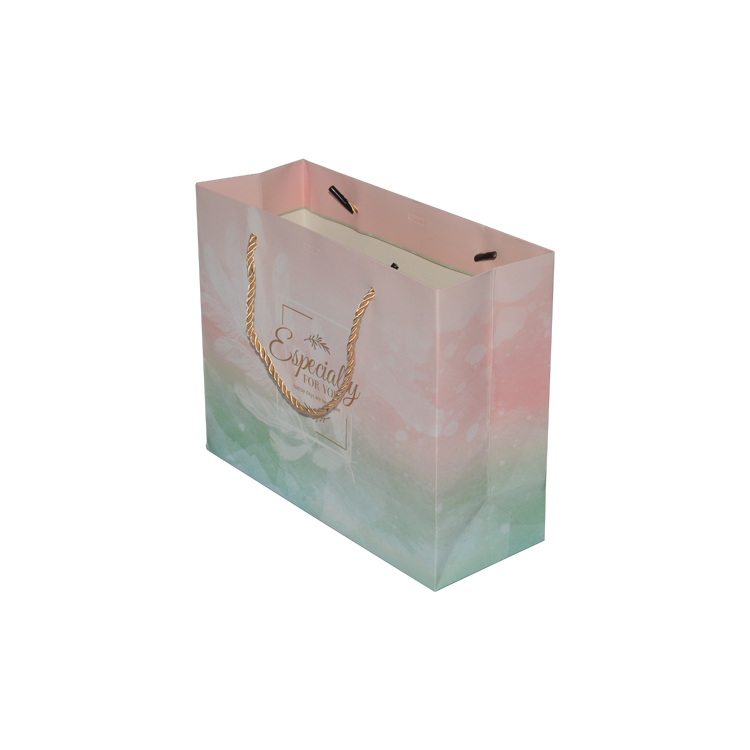  Custom Printed Paper Bags, Cardboard Gift Bags, Paper Shopping Bags with Twisted Handles at Wholesale Prices  