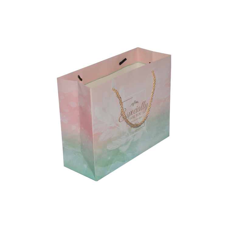 Gloss Laminated Paper Bags | Lathikasri Packaging & Paper Products