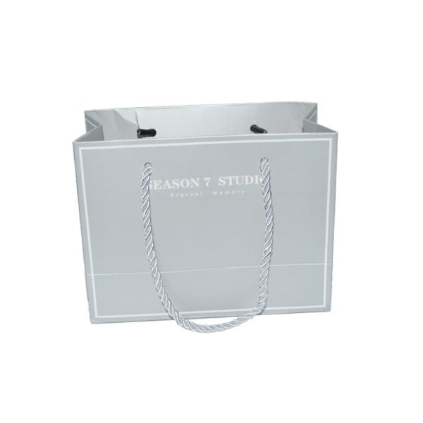 Cheap Bulk Wholesale Luxury Printed Rope Handle Paper Retail Gift Bags for Jewelry Shopping with Logo