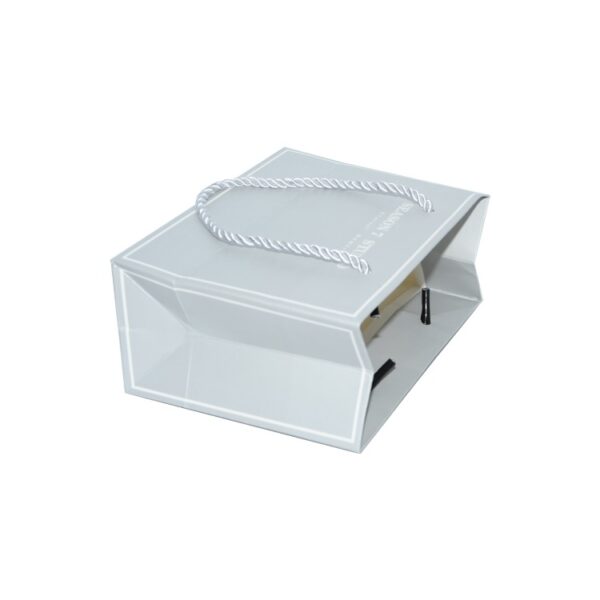 Cheap Bulk Wholesale Luxury Printed Rope Handle Paper Retail Gift Bags for Jewelry Shopping with Logo