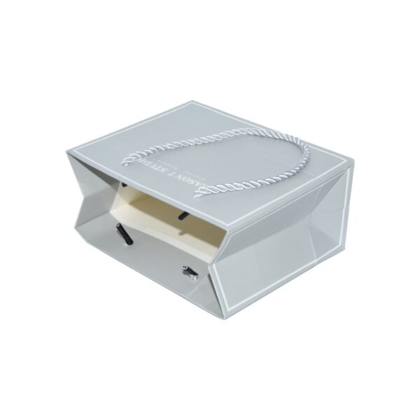 Cheap Bulk Wholesale Luxury Printed Rope Handle Paper Retail Gift Bags for Jewelry Shopping with Logo