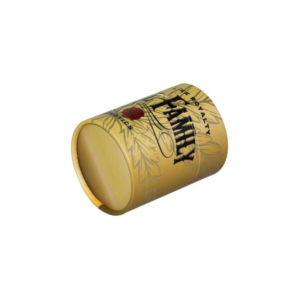 Custom Kraft Paper Cardboard Tubes Packaging for CBD Essential Oil Dropper Bottles with Spot UV Pattern