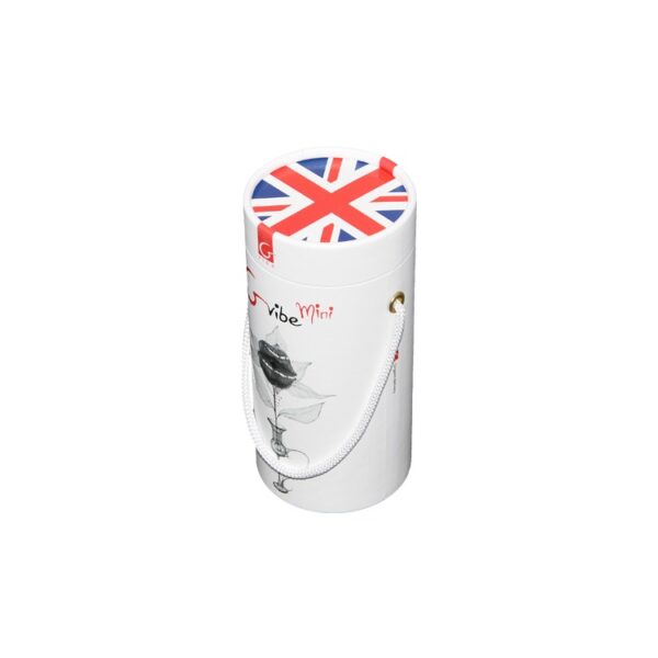 Custom Printing Glossy Round Packaging Boxes Cylinder Mailing Tubes for Sex Toy Packaging with Rope Handle