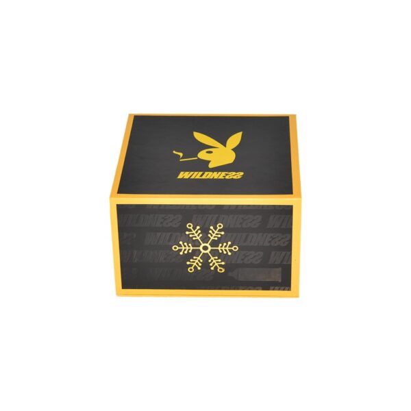 Niedrigster Preis benutzerdefinierte Druck Sex-Spielzeug-Geschenk-Verpackung Box mit Magnetverschluss und Gold Hot Foil Stamping Logo