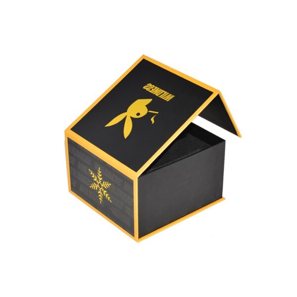 Niedrigster Preis benutzerdefinierte Druck Sex-Spielzeug-Geschenk-Verpackung Box mit Magnetverschluss und Gold Hot Foil Stamping Logo