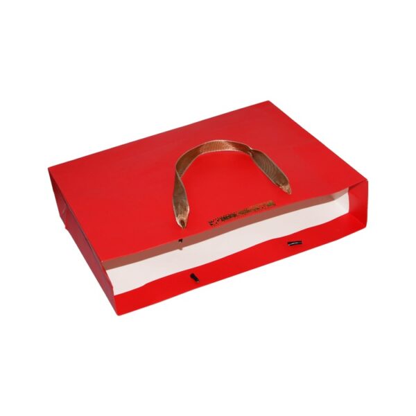 Printed Luxury Promotional Paper Merchandise Retail Shopping Bags with Silk Handle and Glossy Lamination Logo