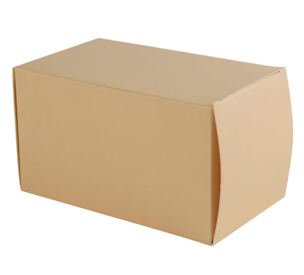 Matte Folding Paperboard Retail Packaging Box Wholesale